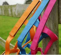 Rhinegold Field Safe Headcollar-Pannocchia-Lampone