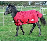 Rhinegold Foal Konig-Tappeto per Esterni, Peso Medio, 200 g/m² Polyfill, 36 IT, Rosso, 3'6"