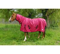 Rhinegold Konig-Tappeto da Esterno a Collo Intero, Peso Medio, 200 g/m² Polyfill, 36 IT, Rosso, 145 cm