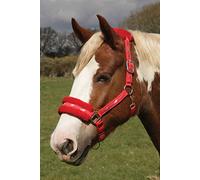 Rhinegold Logo Headcollar Fleece Trim-Pony-Red, Cavezza Unisex-Adulto, Rosso, 1 Count (Pack of 1)