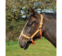 Rhinegold Nylon Headcollar - Shetland - Mandarino