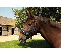 Rhinegold Nylon Lunge Cavesson, 36 IT, Marina Militare, Full