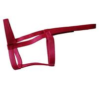 Rhinegold sicura per Il Campo, Pony, Lampone, Field Safe-Cavezza, Colore Unisex-Adulto