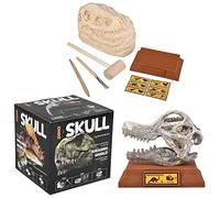 Rhode Island Novelty Kit di scavo a forma di teschio di brachiosauro, 16,5 cm, 1 pezzo per ordine