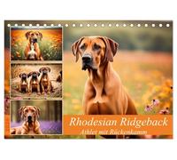 Rhodesian Ridgeback - Athlet mit Rückenkamm (Tischkalender 2026 DIN A5 quer), CALVENDO Monatskalender: Muskelpaket aus Südafrika
