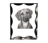 Rhodesian Ridgeback cornice di cristallo con cane Art-Dog