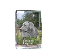 Rhodesian Ridgeback cristallo con cane Art-Dog