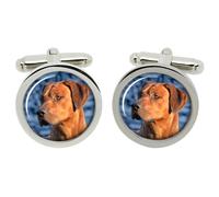 Rhodesian Ridgeback Gemelli IN Cromo Scatola