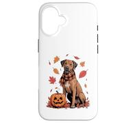Rhodesian Ridgeback Lover Zucca Autunno Autunno Ringraziamento Custodia per iPhone 16
