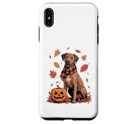 Rhodesian Ridgeback Lover Zucca Autunno Autunno Ringraziamento Custodia per iPhone XS Max