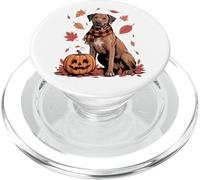 Rhodesian Ridgeback Lover Zucca Autunno Autunno Ringraziamento PopSockets PopGrip per MagSafe