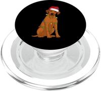 Rhodesian Ridgeback - Luci per albero di Natale, per amanti dei cani PopSockets PopGrip per MagSafe