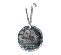 Rhodesian Ridgeback medaglia di cristallo con cane Art-Dog