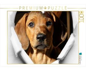 Rhodesian Ridgeback - Puzzle da 1000 pezzi "Un amore per la vita"