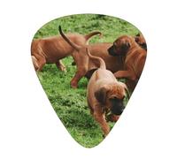 Rhodesian Ridgebacks Cani Cuccioli Animali Domestici Famiglia,12 pezzi di plettri per chitarra, 3 plettri di diverso spessore per chitarra acustica, basso, ukulele