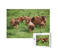 Rhodesian Ridgebacks Cani Cuccioli Animali Domestici Famiglia,Puzzle in legno da 300 pezzi per famiglie, per adulti e adolescenti, decorazioni per la casa