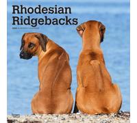 Rhodesian Ridgebacks - Rhodesian Ridgeback 2026 - 16-Monatskalender: Original BrownTrout-Kalender [Mehrsprachig] [Kalender]