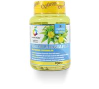 Colours of Life Integratore Rhodiola Rosea Plus con Fosforo e Vitamina B6 60 capsule
