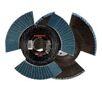 Rhodius 211304 VISION PRO PACK Disco con falde Diametro 125 mm Ø foro 22.23 mm