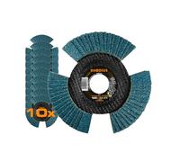 RHODIUS VISION PRO, 10 dischi lamellari K40 con diametro di 125 mm, trasparenti, Made in Germany, metallo e acciaio inox, per smerigliatrice angolare, mola, disco abrasivo a ventaglio
