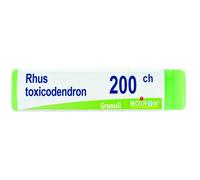 RHUS TOXICODENDRO*200CH GR 1G BO