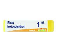 RHUS TOXICODENDRON*1000K GR 1G