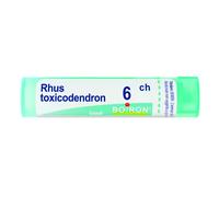 RHUS TOXICODENDRON 6CH 80GR 4G