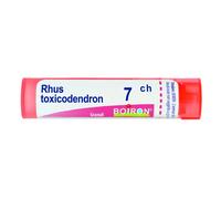 RHUS TOXICODENDRON*7CH 80GR 4G