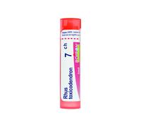 Rhus Toxicodendron 80 Granuli 7 Ch Contenitore Multidose