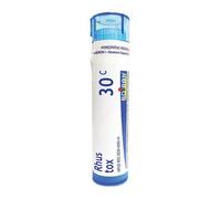 Rhus Toxicodendron 80 Contenitore Di Boiron