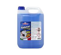 RHUTTEN LIQUIDO RADIATORI -20C 5 L