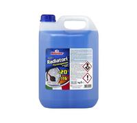 Rhutten Liquido Radiatori 20C 5 l 4 Pezzi