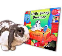 Rhyming Children's Book - Little Bunny Dreamer - Bini the Bunny