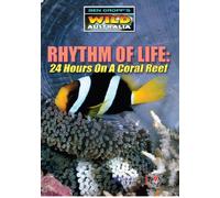 Rhythm Of Life - 24 Hours On A Coral Reef [DVD] [Edizione: Regno Unito]