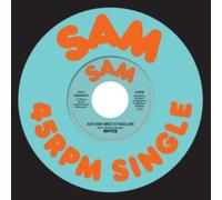 RHYZE - JUST HOW SWEET IS YOUR LOVE - Vinyl Record 7 - D2z