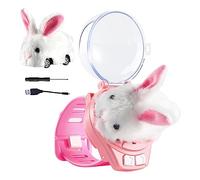 Rianpesn Giocattolo 'orologio per auto telecomandato | Macchina di controllo 'orologio elettrico da 2,4 Ghz | Ricarica USB per auto remota staccabile con coniglietto di peluche con fanali posteriori