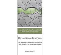 Riassemblare la società. Crisi, solidarietà e conflitti sociali: prospettive di teoria sociologica sul mondo contemporaneo