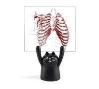 Rib Human Pleural Sketching Scheletro Memo Holder Cartoon Gatto Nero Decorazione Stand