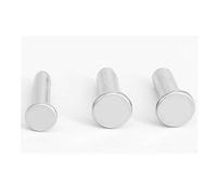 Ribattino a testa piatta in acciaio inossidabile 304-M2.5 * 10 50 pezzi