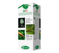 Sangalli Ribes MG – 100 ml