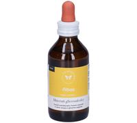 Ribes Gemme Macerato Glicerico 100 Ml 100 ml Soluzione orale