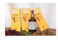 Ribes Gemme 100ml Mg