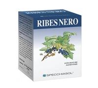 Ribes nero