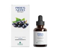 Ribes Nero Gemmoderivato