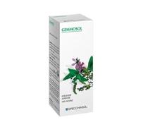 Ribes Nero Gemmosol 36 Specchiasol 100ml