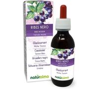 Ribes Nero (Ribes Nigrum) Foglie E Frutti Tintura Madre Analcoolica - Estratto