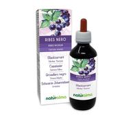 Ribes nero (Ribes nigrum) foglie e frutti Tintura Madre analcoolica Naturalma