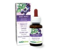 Ribes nero (Ribes nigrum) foglie e frutti Tintura Madre analcoolica Naturalma