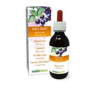 Ribes nero (Ribes nigrum) Gemmoderivato analcoolico da gemme fresche Naturalma -