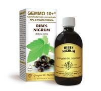 RIBES NERO (Ribes nigrum) Gemmoderivato Concentrato Liquido Analcoolico 500